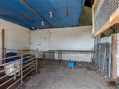 Picture 28